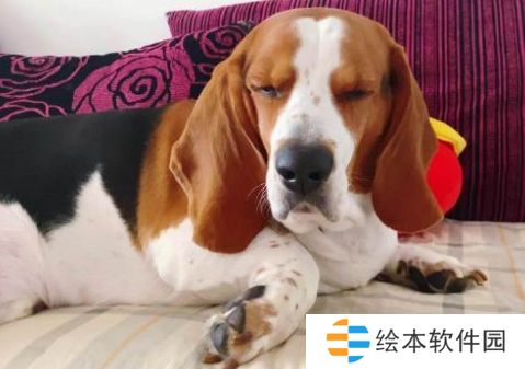 网络用语闷声发大闷是什么梗