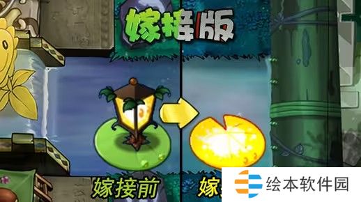 植物大战僵尸嫁接版新植物路灯花荷叶怎么样-pvz嫁接版新植物路灯花荷叶介绍